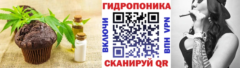 Canna-Cookies конопля  где продают   Бородино 